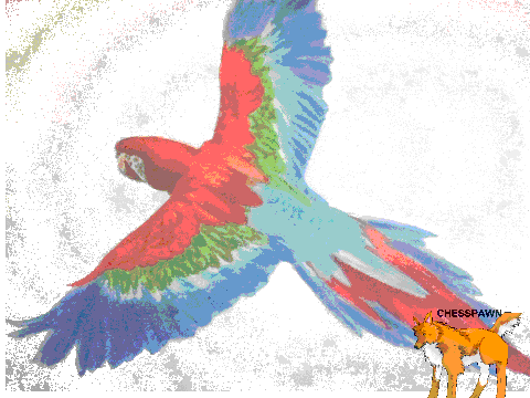 Parrot That I drew