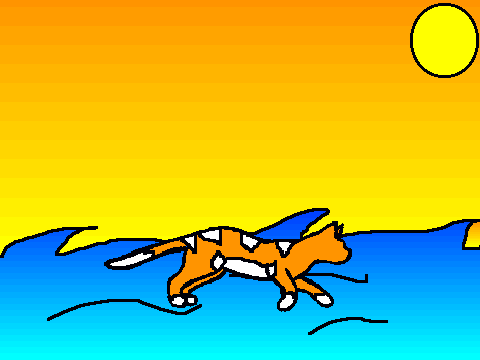 Cat Runcycle Coloring Contest