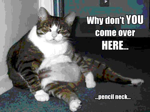 Epic and funny cat pics! 4#