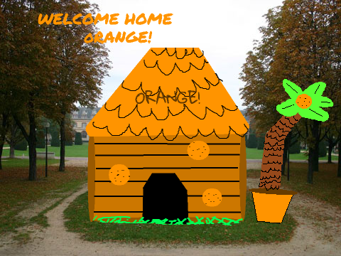ORANGE HOME!