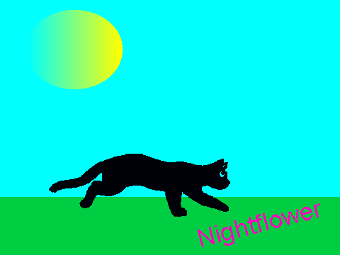 My Entry Cat Runcycle Coloring Contest