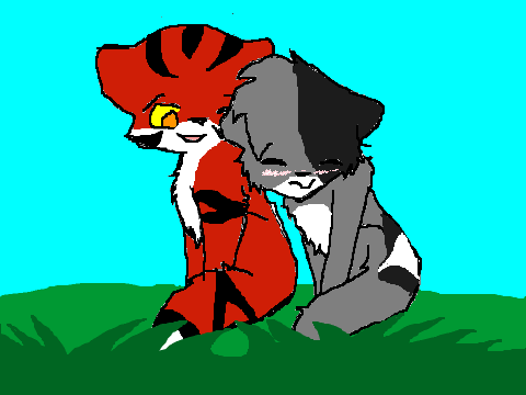 warrior cat cce with you