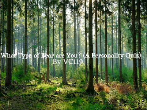 What type of bear are you? (A Personality Quiz) 