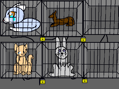 Add Yourself in thr SPCA remix
