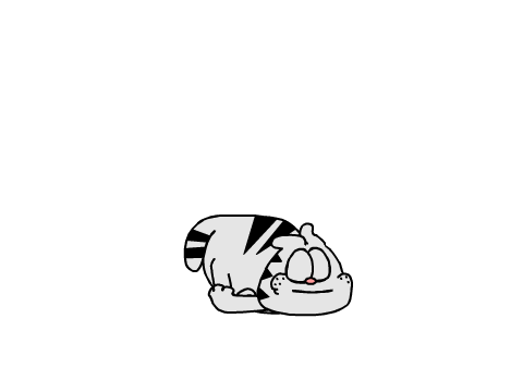 weird cats