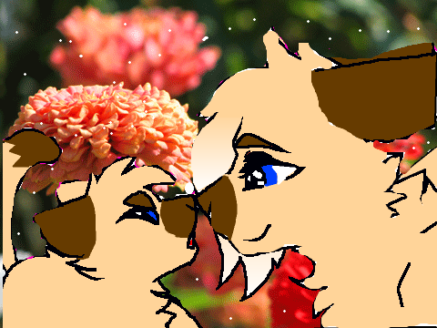 Never Grow Up CC (Closed) Results r out!!! remix (siamese)