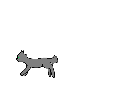 A random kitty jumps around