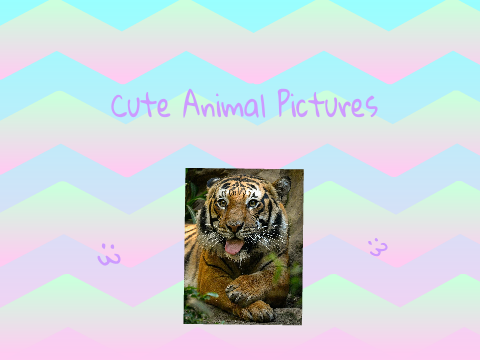 Cute Pictures Of Animals :3