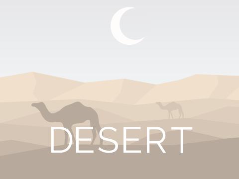 Desert | Landscape Art