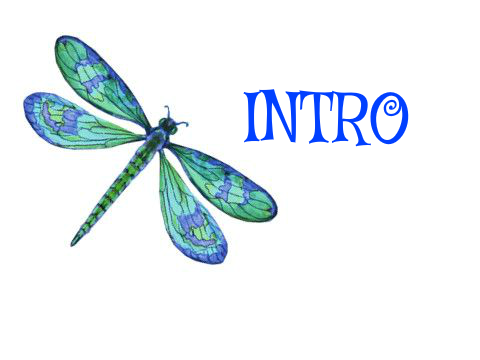 Intro