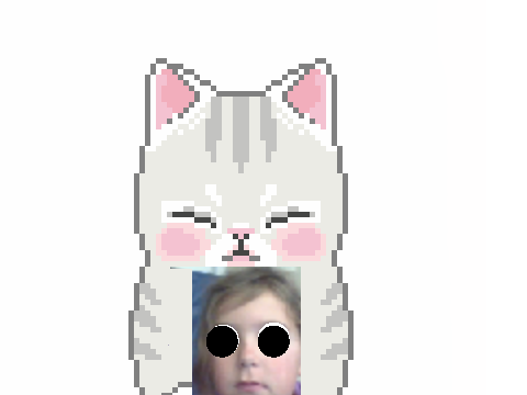 Caoilinn likes cats or do cats like caoilinn