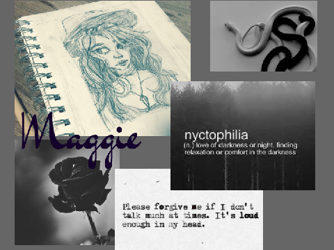 Aesthetic Collection/Thing