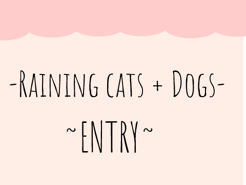 DACC entry - raining cats and dogs