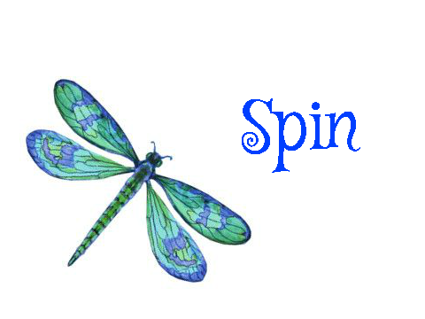 Spin