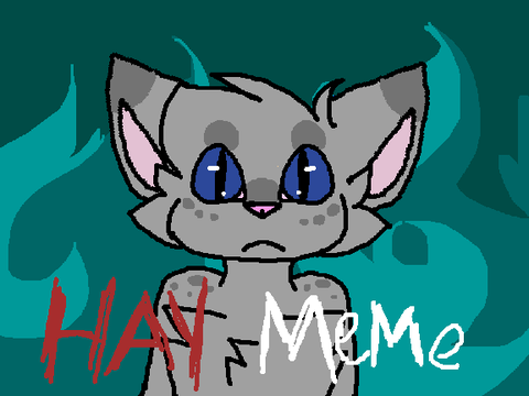 H a y !