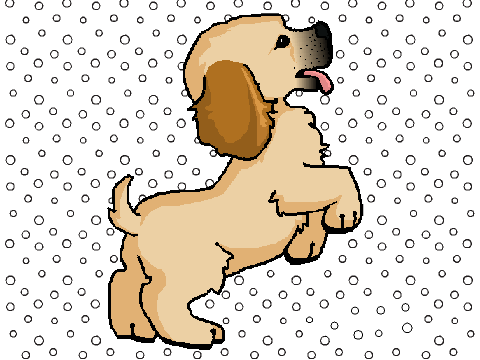 Puppy CCE