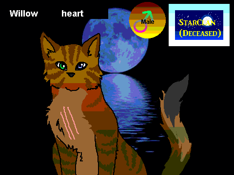Warrior Cat Generator!! :D