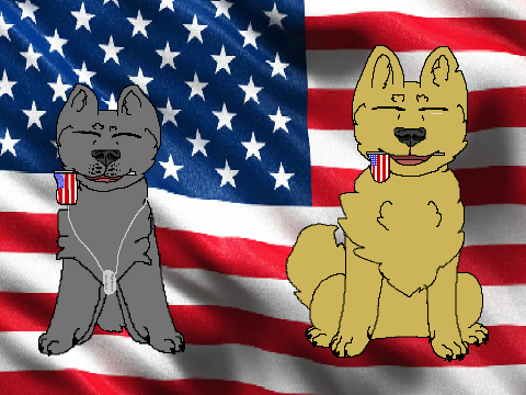 Wave Your Flag Meme