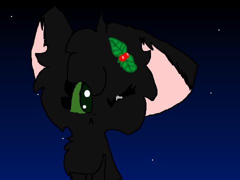 Holly