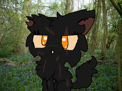 Yellowfang of thunderclan