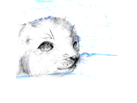 Seal