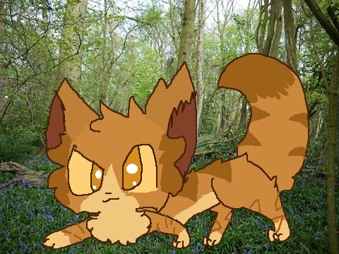 Lionblaze