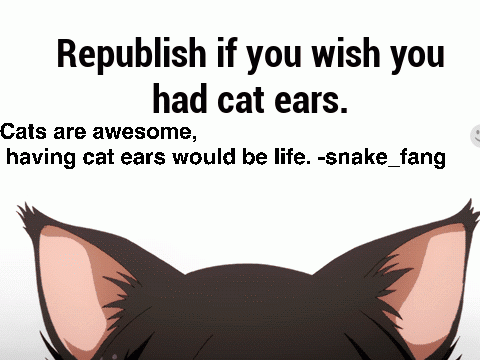 if u wish u had cat ears...  remix remix remix
