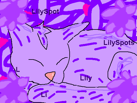 kitty entrie