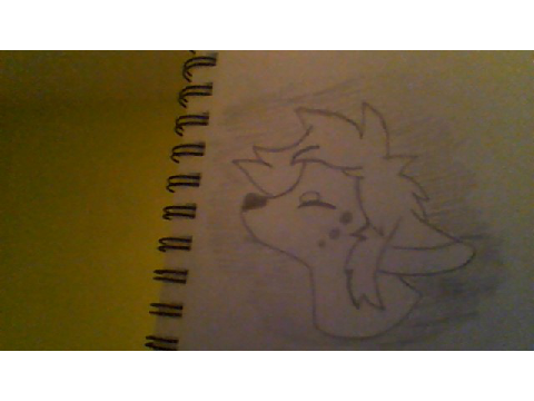 Random Drawing :P