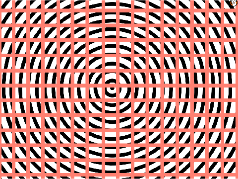 Optical illusion