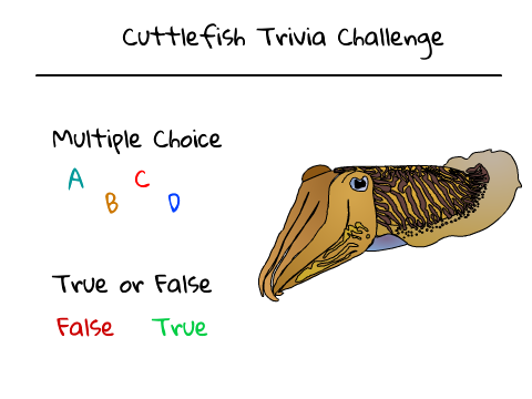 Cuttlefish Trivia Challenge