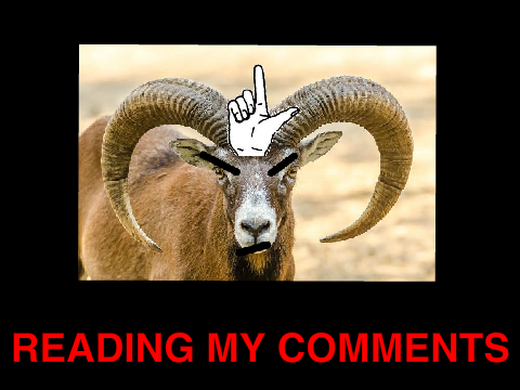 Reading My Comments