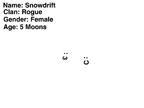 Snowdrift da rogue