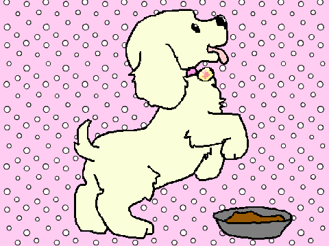 Puppy CCE