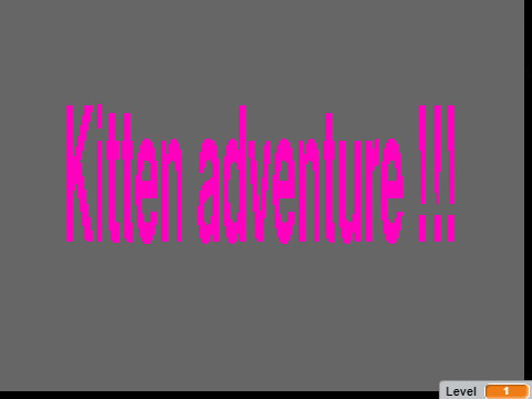 Kitten adventure