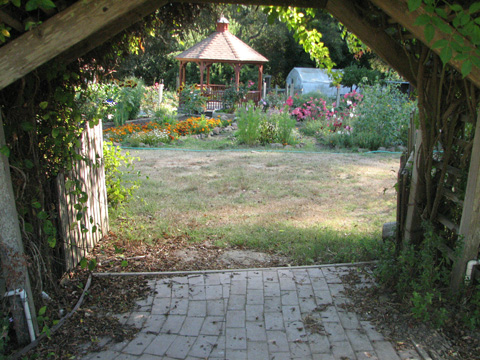 barking dog in garden