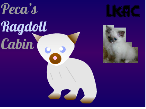 || RAGDOLL LESSON 3 ||