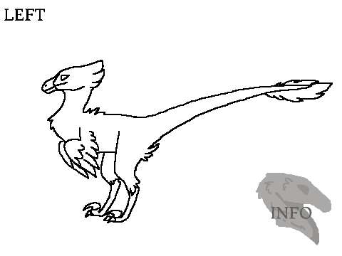 Raptor Coloring Contest