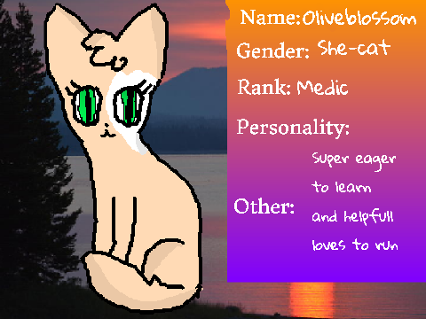Your cat: Oliveblossom