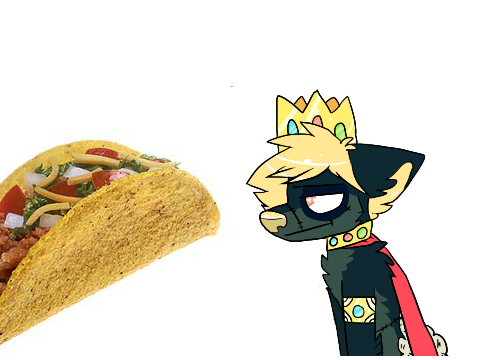 Oxy staring at taco