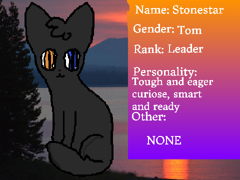 Your cat: Stonestar