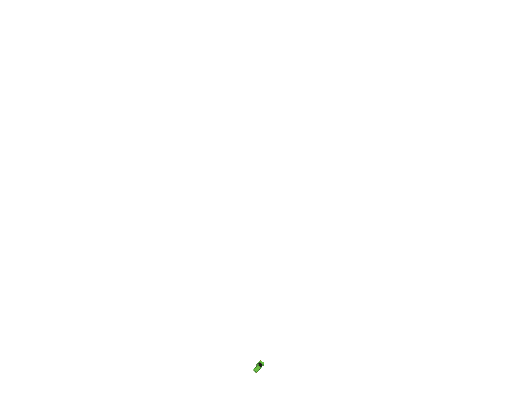 Maze