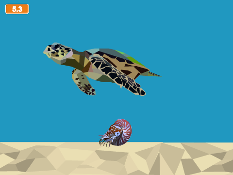 Swimming Nautilus