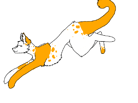 My new catsona!