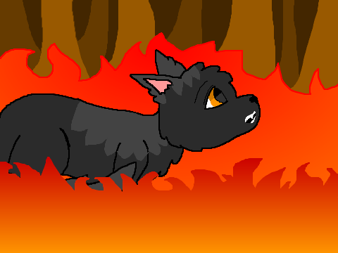 I See Fire CC {Gray Wing}