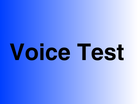 Voice Test