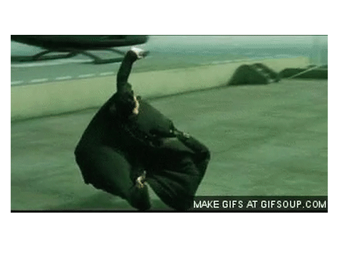 Project AniMatrix