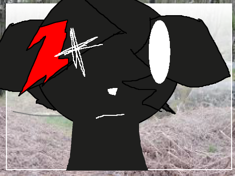 Meme