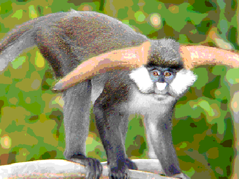 monkey w/horns