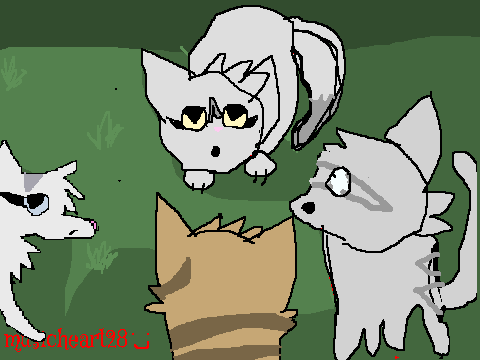 warriors M.A.P part22